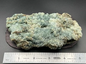 Prase Green Quartz Variation Media Pennsylvania Delaware Co PA Mineral Blue Hill - Bild 1 von 20