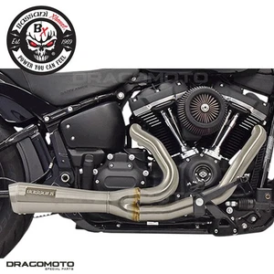 Harley FXLRS 1923 ABS Softail Low Rider S 117 2022-2024 Auspuffanlage BASSANI... - Foto 1 di 4
