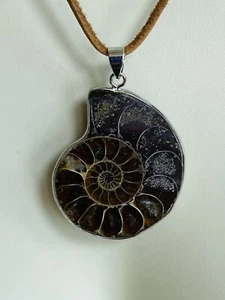 Edelsteinanhänger, Ammonit, Schnecke ca. 3,7 cm, Ketten, Schmuck, Fossil - Bild 1 von 3