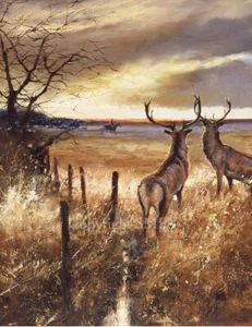 Mick Cawston 'The Onlookers' Stag Open Edition Fine Art Print - Picture 1 of 3