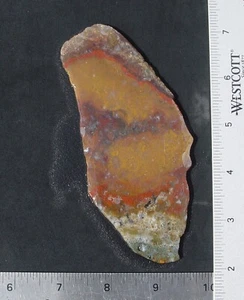 Macaw Agate from Mexico   Lapidary Slab                   T721 - Picture 1 of 11