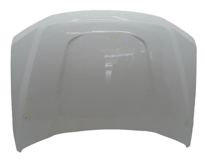 Hood Ford F250 350 450 550 600 SD Front Oxford White 2017-2022 OEM Genuine 053 Foto 1 de 4