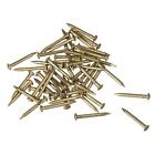 Small Tiny Brass Nails 1.2x12mm for DIY Pictures Wooden Boxes Household 50pcs
