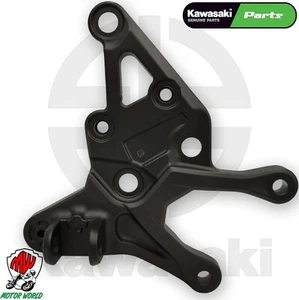 Soporte Delantero Derecho Apoyo Para Pies Original Kawasaki Para Z 900 2018 - Imagen 1 de 2