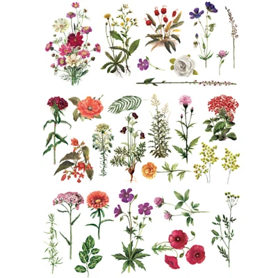 REDESIGN WITH PRIMA Rub On Transfers for Furniture ReDesign Prima FLORAL COLLECTION Free Shipping