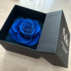 Speed Pack Ado Azul Rosa Flor Preservada ESPECIAL VIVO 2024 Corazón Asientos VIP - Imagen 1 de 2