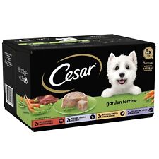 48 x 150g Cesar Garden Terrine Adult Wet Dog Food Trays Mixed Selection in Loaf