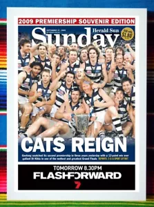 Framed 2009 GEELONG CATS AFL Premiers Poster - 45cm x 32cm x 3cm - Picture 1 of 3