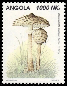 ANGOLA 890 - Mushrooms "Macrolepiota procera" (pb50208) - Picture 1 of 1