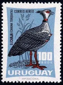 👉 URUGUAY 1966 BIRD SC#C288 MNH CV$8.50 - Picture 1 of 1