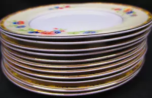 Pareek Johnson Bros. England "Watteau" Porzellan (11) 8" Salatteller #3587/K3 - Bild 1 von 11