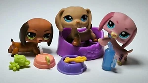 Littlest Pet Shop LPS Dachshund dog #518 992 1306 + Accessoires -32 - Picture 1 of 10