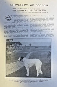 1908 Famous Dogs of Queen Alexandra Russian Wolfhound Fox Terriers Spaniels - Picture 1 of 2