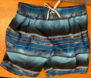 Nuevo sin etiquetas Bañador Para Hombre Kanu 100% Poliéster Forrado con Red Talla 3X Difícil de Encontrar - Imagen 1 de 5