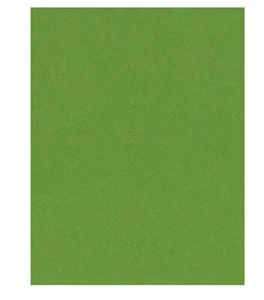 Textured Cardstock Granny Smith Green 8.5 x 11 inches 25 sheets - Picture 1 of 1