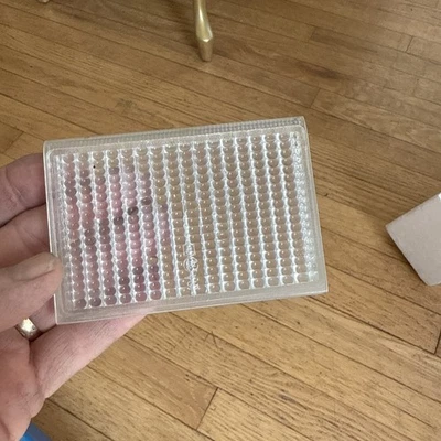 Lente de luz de reversa de respaldo lateral derecho Volvo 240 242 244 262 264 buen usado Foto 1 de 4