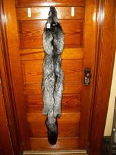 HUGE BEAUTIFUL tanned SILVER FOX SOFT HEAVY fur pelt skin taxidermy S1 man cave