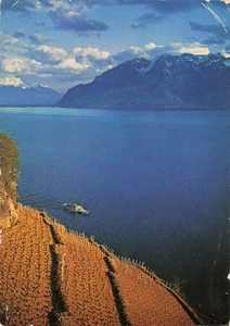 Postcard Switzerland Lavaux Vineyard - Picture 1 of 2