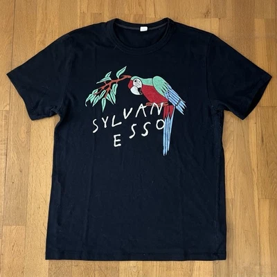 Sylvan Esso рубашка M - умереть молодой гимны для 17-летней девочки Electropop 🦜 - Изображение 1 из 2