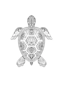 Mandala Poster Schildkröte Schwarz Weiß Linien Geometrisch - Bild 1 von 4
