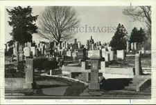 Foto imprensa 1985 Barão Hirsch Cemitério Judeu Em graniteville, Staten Island