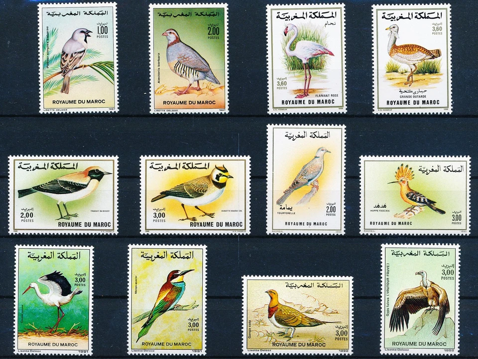 LS65747 Morocco animals fauna flora birds fine lot MNH - Image 1 of 1