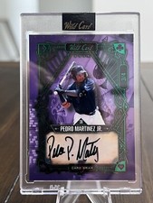 2023 WILD CARD 5 CARD DRAW PEDRO MARTINEZ JR ENCASED AUTO #/4 RC🔥🔥