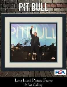 Pitbull Signed 11x14 Color Photograph Custom Framed PSA/DNA - Picture 1 of 6