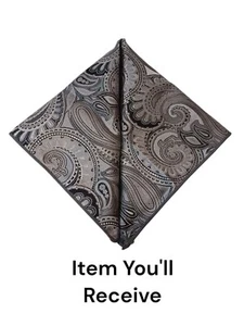 S & W 12.5 X 12.5 Pocket Square, Various Colors & Paisley Patterns. - Picture 1 of 7