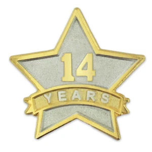 PinMart's 14 Year Service Award Star Corporate Recognition Dual Plated Lapel Pin - Picture 1 of 3