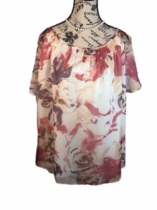 NWT Blue Velvet 2X Beige Smocked Floral Cottagecore Chiffon Blouse Lined S/S - Picture 1 of 9