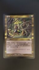 RELEASE in Taiwan MTG MAGIC Sylvan Safekeeper  x2  TRADITIONAL CHINESE