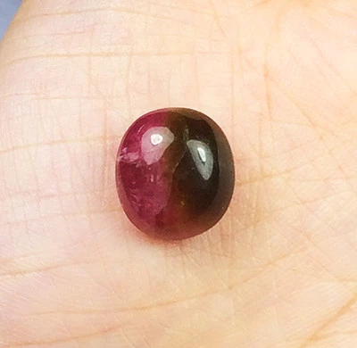 9.03cts Mind Blowing Natural Watermelon Tourmaline Oval Cabochon Gemstone - Image 1 of 3