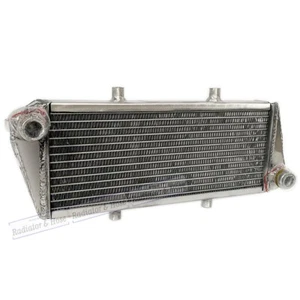 Aluminum Radiator For ULTRALIGHT ROTAX 912i/912/914 UL 4-STROKE ENGINE Polished - Picture 1 of 12