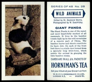 Giant Panda #28 Wild Animals 1958 Hornimans Tea Card - Picture 1 of 1