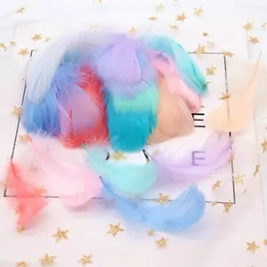 100 Pcs / Lot Natural 4-8 Cm Goose Feather Mix Dyed Diy Carnival Wedding Party - Picture 1 of 28