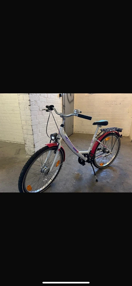 Pegasus Fahrrad  - Bild 1 von 1