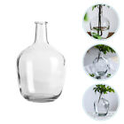 Large Clear Glass Vase For & Flowers