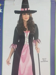 Rubies Charming Witch Costume Dress & Hat Adult Standard Size 12 - Picture 1 of 3