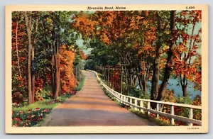 Riverside Road Maine. Vintage Leinen Postkarte C.T. Flussszenen SA.H2494 - Bild 1 von 2