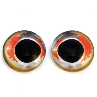 Par de muñecos realistas ojos de cristal de pez bajo joyería taxidermia cabujones de espalda plana Foto 1 de 4