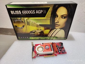 Gainward GeForce 6800 GS 256mb OVP AGP Slot getestet Sammlerauflösung - Afbeelding 1 van 12