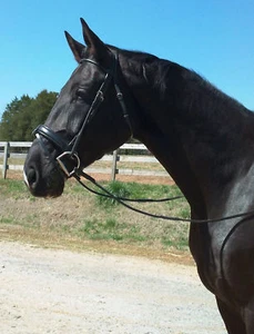Herve Godignon Round Double Bridle, FS - Picture 1 of 6