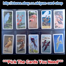 BROOKE BOND TROPICAL BIRDS (CANADIAN) TOP BLACK (VG)  *PLEASE SELECT CARD*