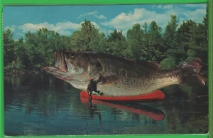 Vintage Humor Comic Fishing Exaggeration Postcard One Got away Fun note 1971 - Picture 1 of 4