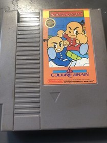 Kung-Fu Heroes, Nintendo NES