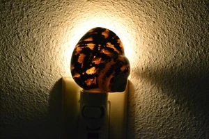 BLACK CYPREA PICA SEA SHELL NIGHT LIGHT KITCHEN BATHROOM #7181 - Picture 1 of 3