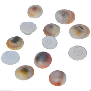 Gomti Chakra For wealth,health,success & Worship 21 Pieces pack - Picture 1 of 1