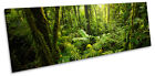 Forest Landscape Green Trees CANVAS WALL ART Pano Framed Print