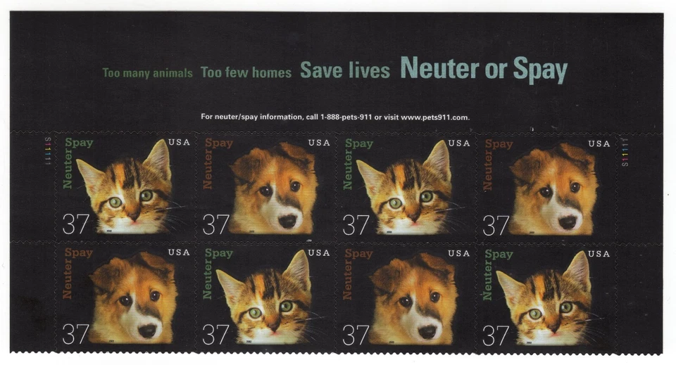 Scott #3671a (3670-71) Spay & Neuter Pets Title Block of 8 Stamps - MNH - Image 1 of 1